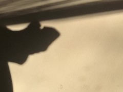 Teasing from the shadows - Screenshot 1 of 16 - Shadow