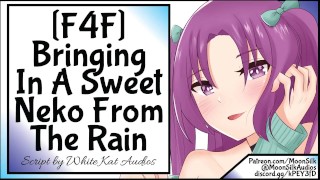 F4F Neko Listener Bringing In A Sweet Neko From The Rain