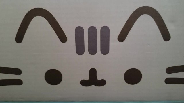 Izno box PTD