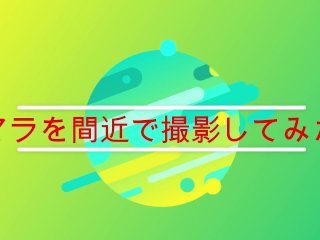 【主観】マラを間近で撮影してみたｗ