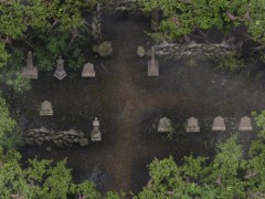 Lust Epidemic = pregnant woman thanks for help #79