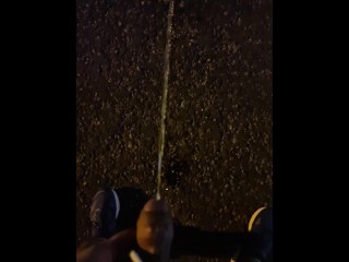 Piss next to Road