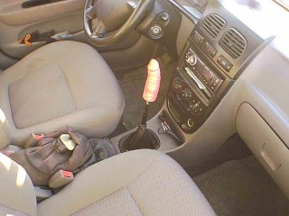 Masturbation in a Car