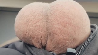 Quick Open Your Mouth and Suck Em! Big Balls