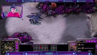 zerg vs dominación de protoss