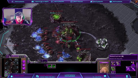 siendo follada en starcraft por dos razas