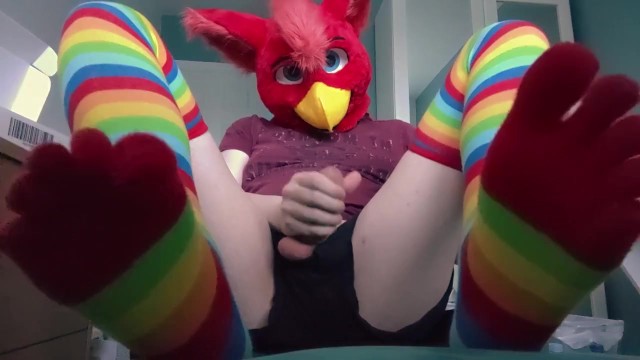 Fursuit Teasing with Cute Rainbow Socks, Stripping, and Cumming inside  Condom - Pornhub.com