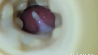 Cumming inside artificial vagina fleshlight