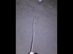 Peeing All Over Carpet Everywhere Teaser