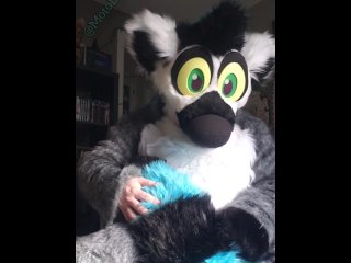 Moto pawing between games