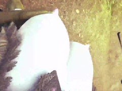 League of legends: Morgana is fucked hard