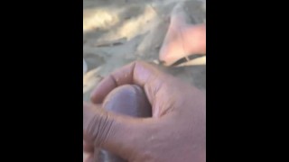 Large Black Penis Flash Milf