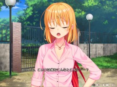 【エロゲー ぬきたし プレイ動画7】淳之介、ついに暴走する！ゲーみたいな島に住んでる貧乳はどうすりゃあいですか?) - Screenshot 2 of 16 - ぬきゲーム