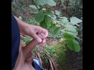 masturbate, public masturbation, outdoor masturbation, solo male