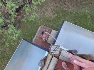 Pissen Op Het Gezicht Van Een Meisje Vanaf Een Balkon | Bikini Menselijk Toilet