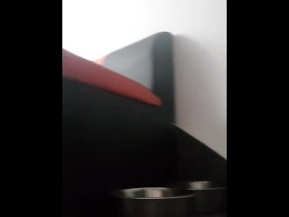 Dog roles, gay porn fetish