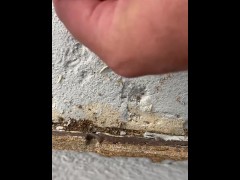 Cutting my Toenails — A Quick Cleanup