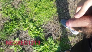 Una bella pisciata in giardino 