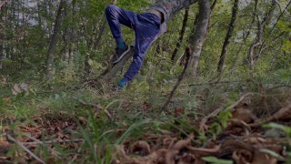 An Eighteen-Year-Old Mischievous Boy Sulks On A Tree