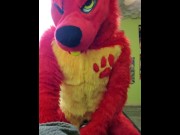 Preview 1 of FireStorm Playing With His Favorite Toy