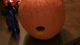 I fucked a pumpkin