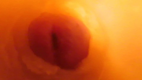 camera all'interno della vagina mentre si sditalina, scopa e sborra con la calda moglie milf