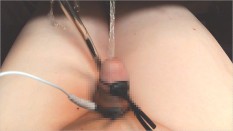 Kinky Gay Japanese Porn