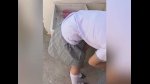 Playlist Thumb 209877901-1