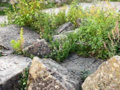 Next Level risky Public - Sunset Handjob on a highly frequented Viewing Point ! Maybe Caught :D