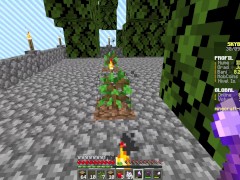 Minecraft Multiplayer Skyblock Season:2 Ep:2 Skyblock Building a tree farm! Earning Money!