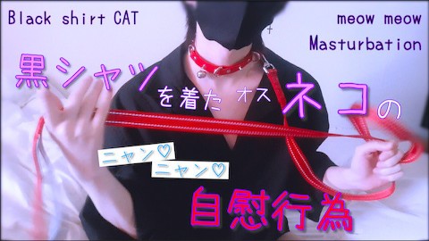 Masturbieren "Meow ♡ Meow ♡" eines Katers, der ein schwarzes Hemd trägt. Kragen / Blei / Cosplay