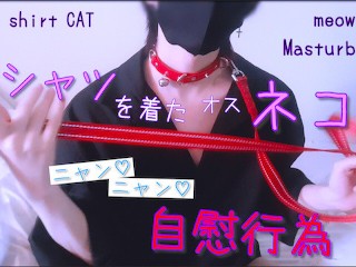 Masturbating "meow ♡ Meow ♡" of a Male Cat in a Black Shirt. Collar / Lead / Cosplay / Slender
