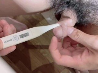 [Японский ] Измерьте температуру полового члена с помощью термометра.