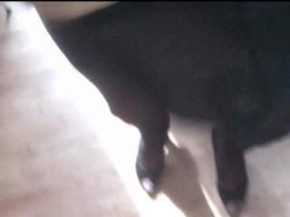 Schwarze Peeptoes ficken