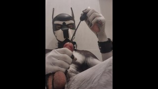 Puppy play time - sounding, butt plug and cum with vibrator