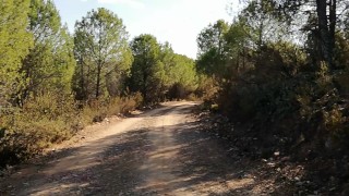 Corrida en medio de la naturaleza Capitulo 3