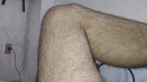 furry mature bear leg / close up