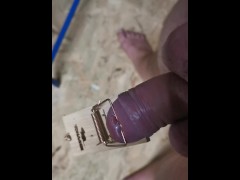 Mausefalle - Screenshot 16 of 16 - Lustig