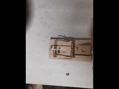 Mausefalle - Screenshot 2 of 16 - Trap