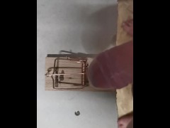 Mausefalle - Screenshot 3 of 16 - Funny