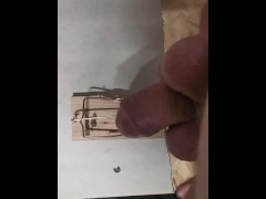 Mausefalle - Screenshot 4 of 16 - Lustig