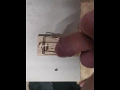 Mausefalle - Screenshot 6 of 16 - Trap