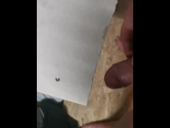 Mausefalle - Screenshot 8 of 16 - Lustig