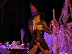 Kelly Doll's the witch