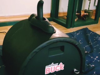 Motorbunny buck! Check out our new sybian!