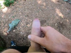 Hard wood in the forest 4K