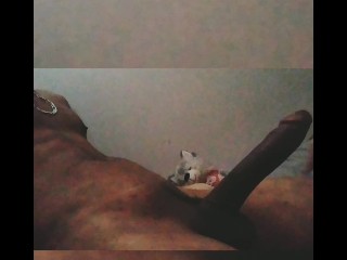 Новая Англия 😋Ободья и Гэги😯BBC