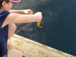 My Panties after Three Days