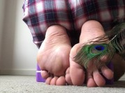 Preview 4 of Peacock feather is such a pretty bird feather for tickling my feet