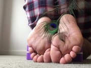 Preview 5 of Peacock feather is such a pretty bird feather for tickling my feet